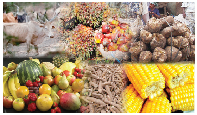 Food inflation rate in Nigeria