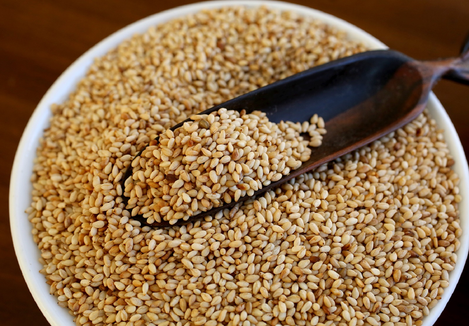 sesame-description-uses-facts-britannica