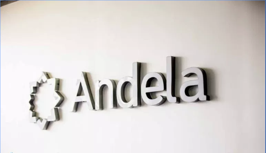 Andela Software Engineers to the power of X campaign, Andela fundraising, Andela Mark Zuckerberg