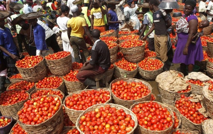 Tomato sellers in NIgeria, Nigeria’s tomato shortfall: What’s the way forward?     