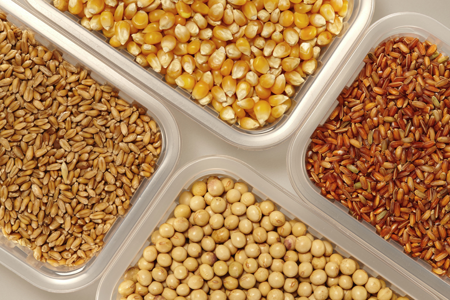 Price of grains drop globally in Futures Market