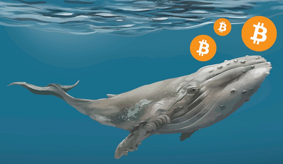 Whales bitcoin авито машинка биткоин