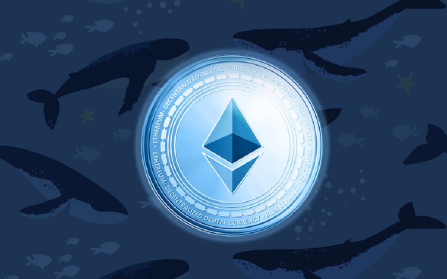 Two Ethereum Whales move 53,455 ETH, as DeFi tokens gain popularity