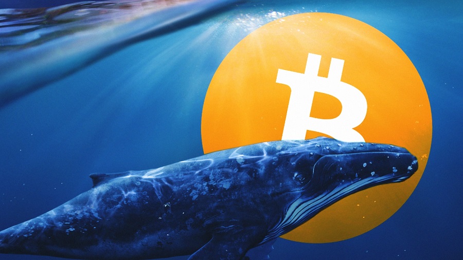 Btc china whale ssd bitcoin mining