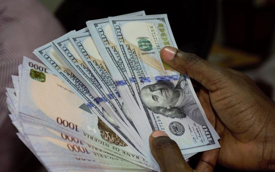 Naira and dollar held by in the hand of a person