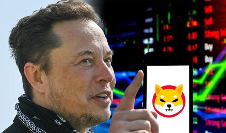 Shiba inu coin elon musk