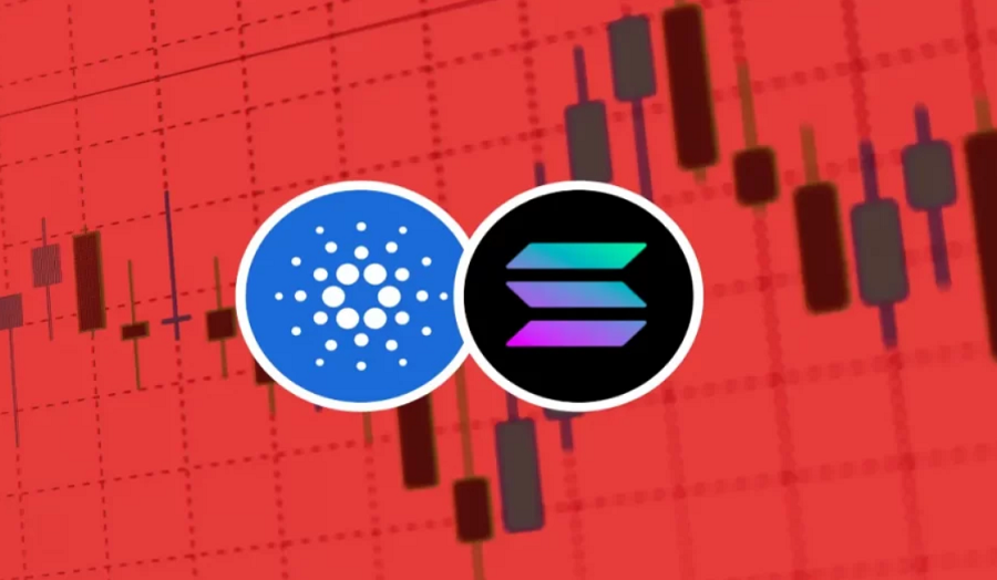 Buyers rush to Cardano, now more valuable than Solana