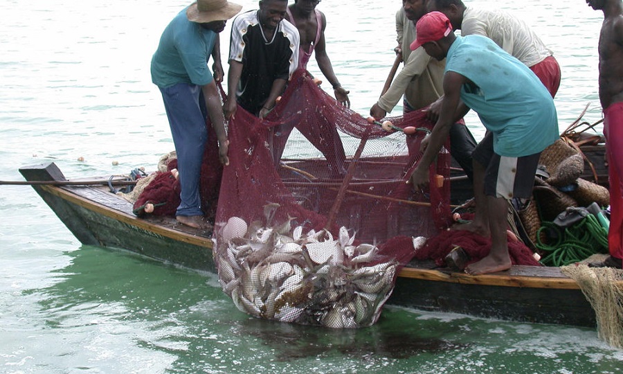 FG plans to earn N5 billion from the Fisheries Coastal Terminal Concession project