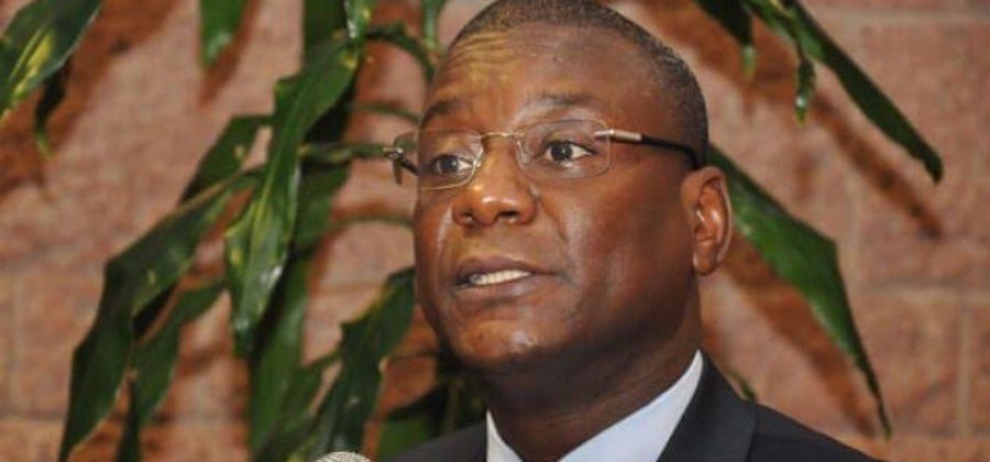 AfDB’s DG says current financial sector portfolio in Nigeria hits $1.3bn