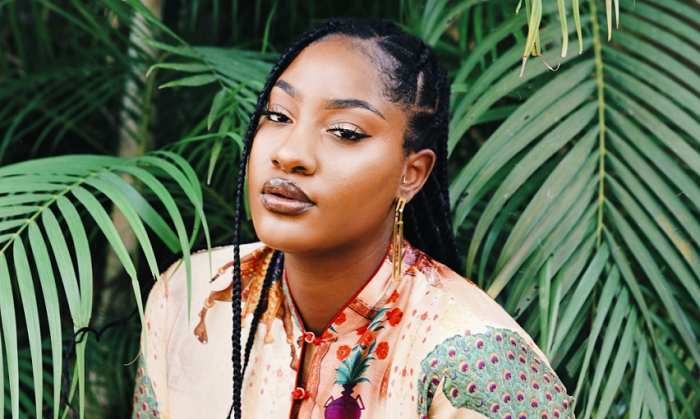 List of what Nigeria’s music export, Tems has accomplished in 2022