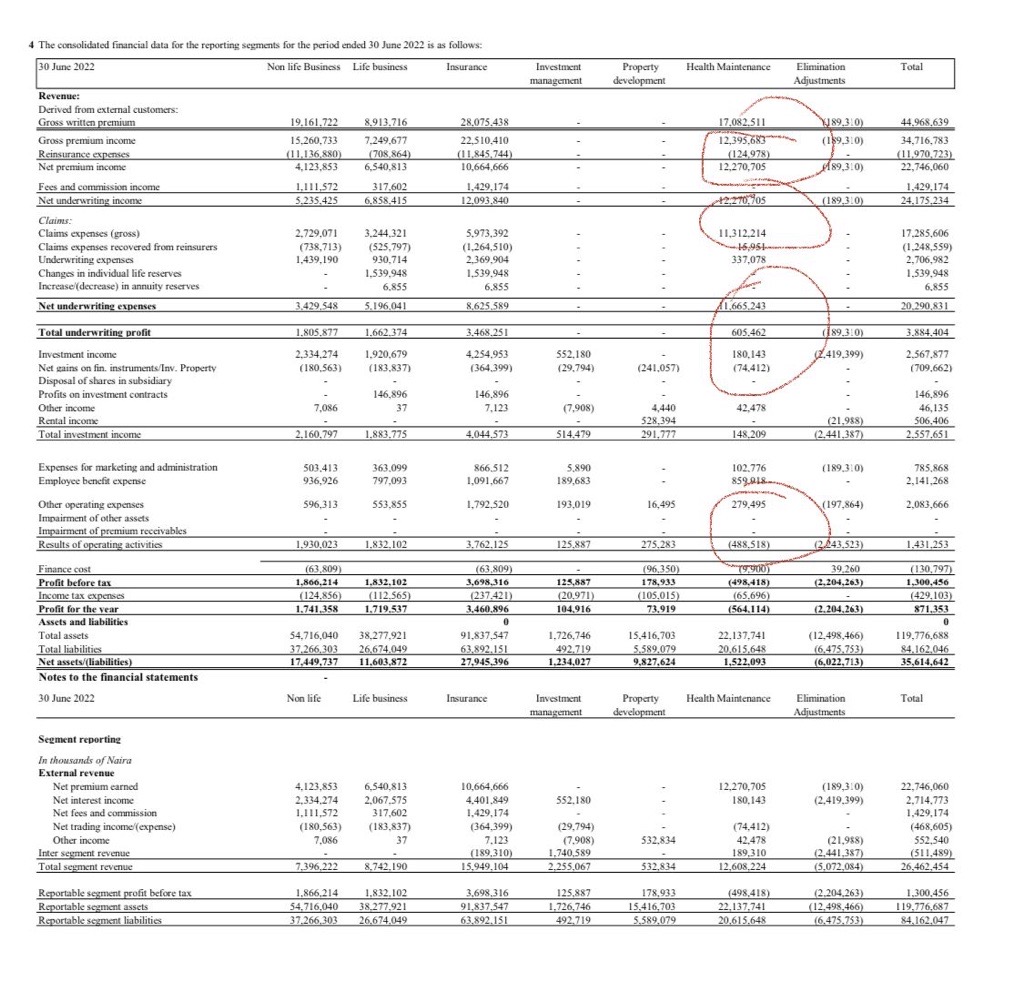 Snapshot of Axa Mansard Revenue Segments for 2022 H1.