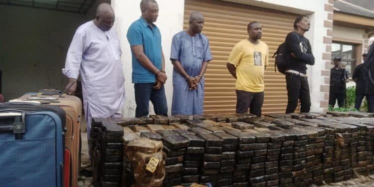 Mixed reactions trail NDLEA’s N194 billion Lagos drug bust