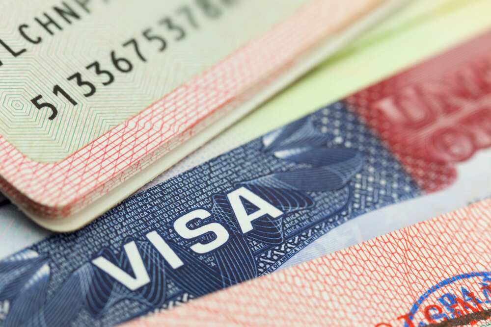 How to get a US visa via Dropbox