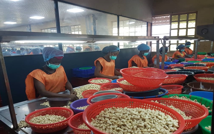 Nigeria earned $250 million from cashew nut exports in 2022, targets $500 million - FG