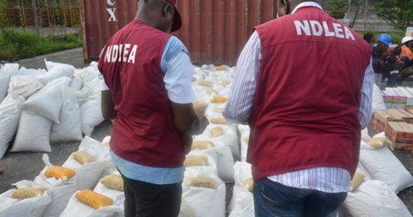 NDLEA seizes N13.014 billion worth of opioids in Lagos raids