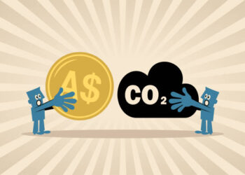 NSIA to expand its carbon credits program