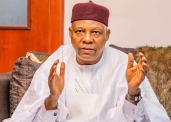 Kashim Shettima, Digital jobs