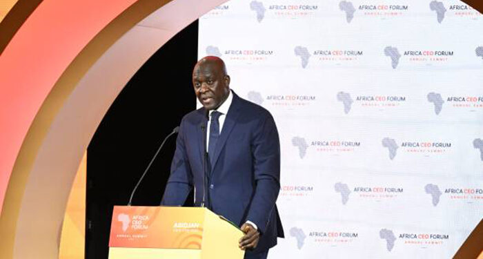 Quicktake: Africa needs to take advantage of its carbon markets – AFC President