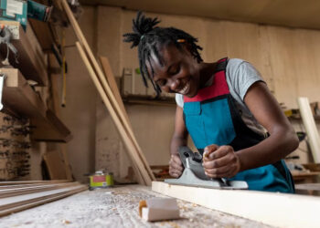 skilled foreign professionals 