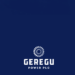 Geregu Power post N6.9 billion in pre-tax profits for Q2 2023
