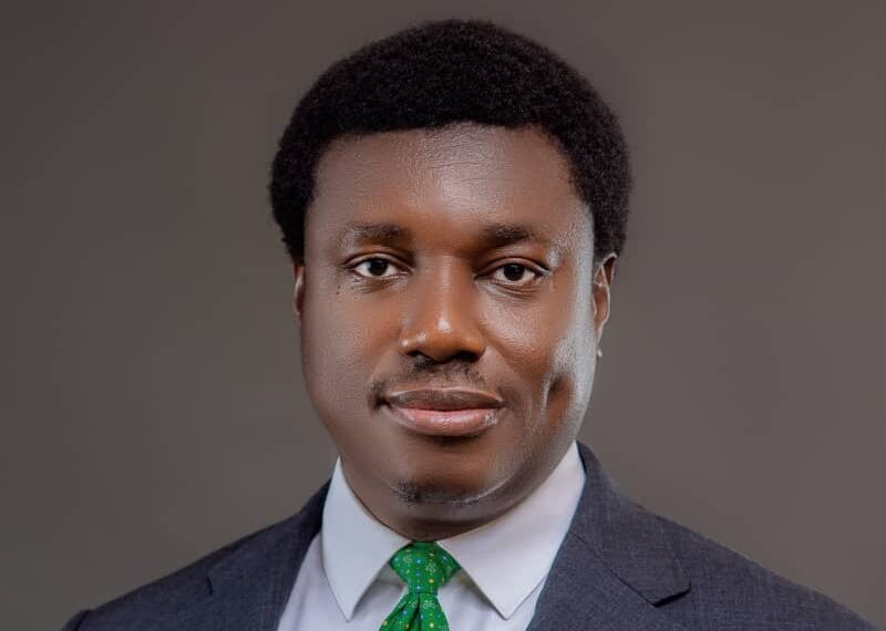 Vfd group s nonso okpala appointed as non executive director of the