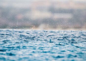 These businesses will make you money during the rainy season