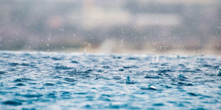 These businesses will make you money during the rainy season
