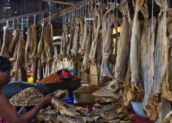 stockfish prices