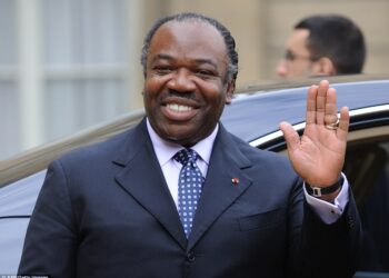 Gabon Coup: Military Ousts Government Amid President Ali Bongo’s Re-election