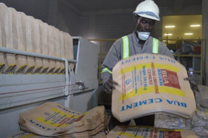 Analysis: BUA Cement’s resilient performance in H1 2023