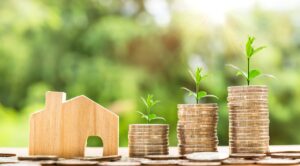 The Impact of Clutter on Household Finances: Clearing the Path to Financial Well-being 