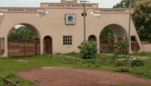TETFund provides N550 million for Kaduna College of Education 