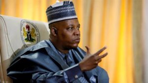 Nigeria’s economy will pick up in less than 15 months – Shettima 
