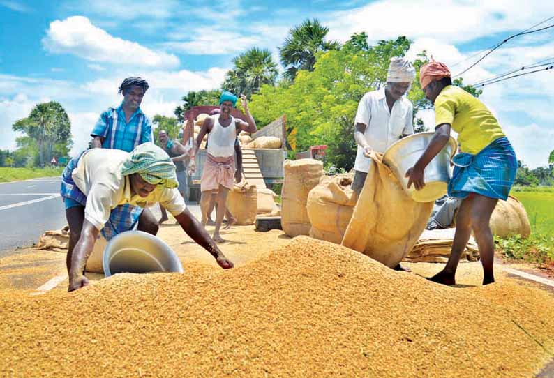 Rice farmers fail to repay 52% of N283.01 billion loan from Anchor Borrowers’ Programme 