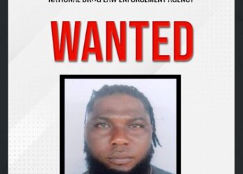 Sowunmi Ayodeji Kayode, NDLEA