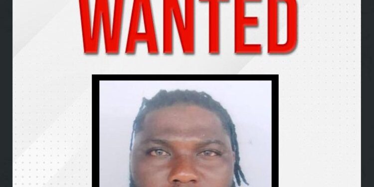 Sowunmi Ayodeji Kayode, NDLEA