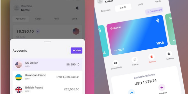 Platnova: Redefining the Landscape of Global Fintech