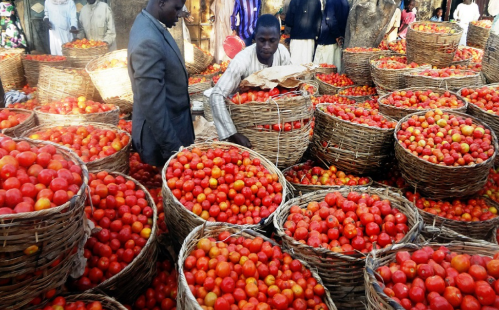 Tomato sellers in NIgeria, Nigeria’s tomato shortfall: What’s the way forward?     