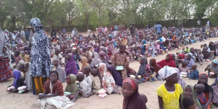 Banditry: 400 schools shutdown as over 11,000 children drop out in Niger state