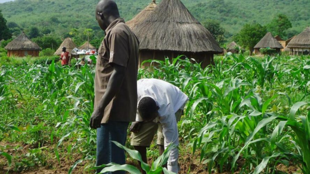 Agriculture will not be Nigeria’s wealth game changer – Report