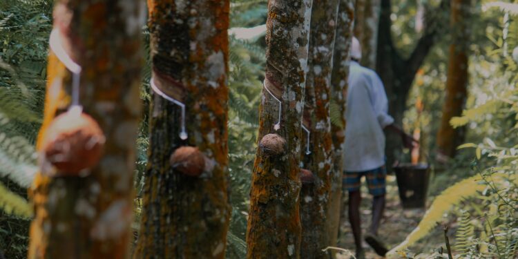 Nigeria’s top 10 Agricultural Exports in H1 2023