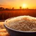 Global rice,