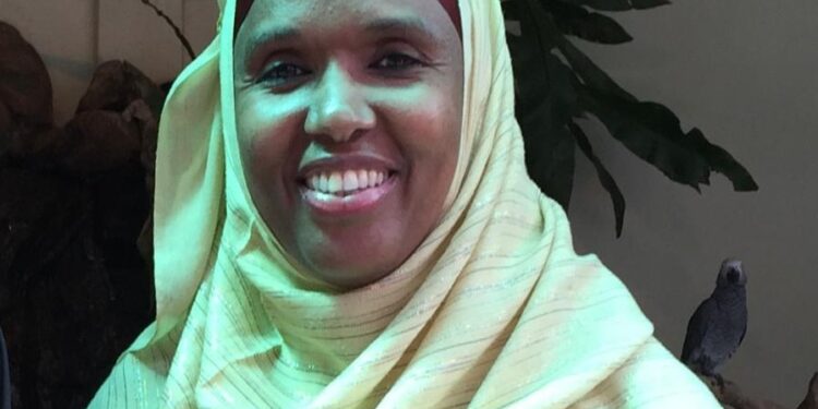 Nigerian Doctor presents innovations to treat bleeding after childbirth