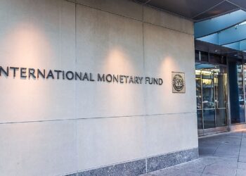 Debt in low-income countries represent 88% of GDP – IMF