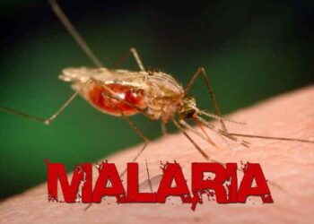 U.S invests over $900m in Nigeria to curb malaria, others