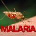 U.S invests over $900m in Nigeria to curb malaria, others