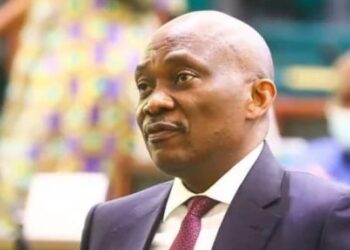 Ndudi Elumelu