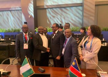 Nigeria will explore energy collaborations with South Korea – Minister for Power 