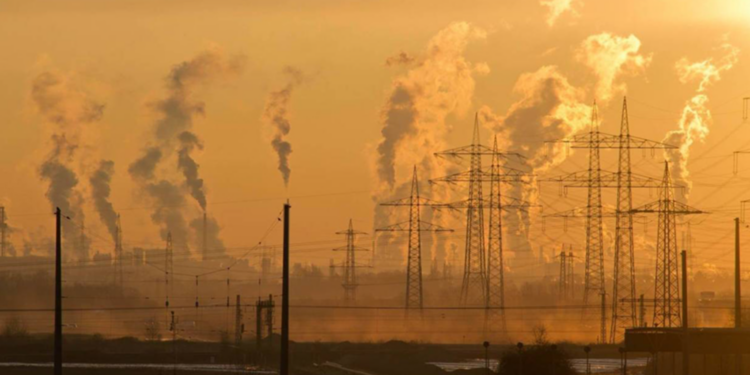 African Finance Corporation stays committed to Fossil Fuel Projects despite Climate change warning