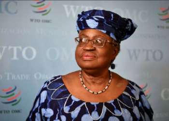 Ngozi Okonjo-Iweala, WTO